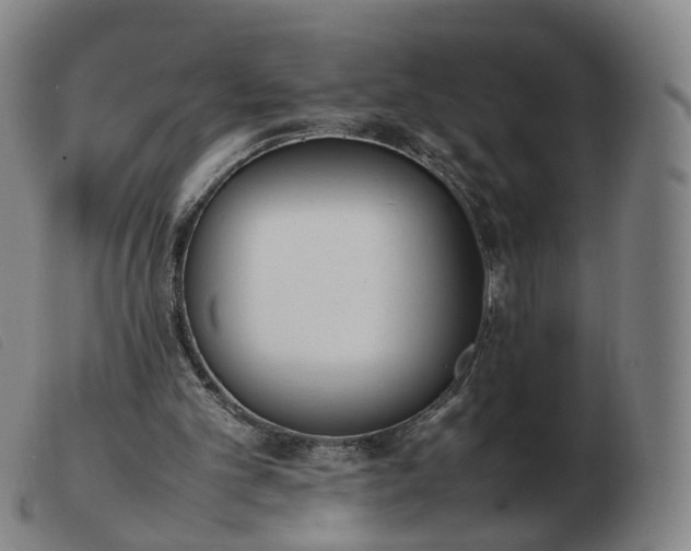 X0000103450101200809191757