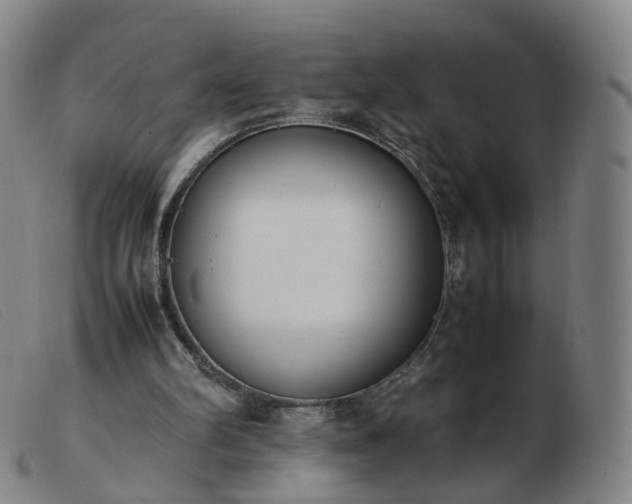 X0000103450102200809191757