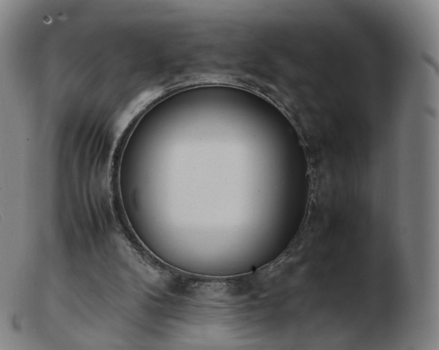 X0000103450104200809191757