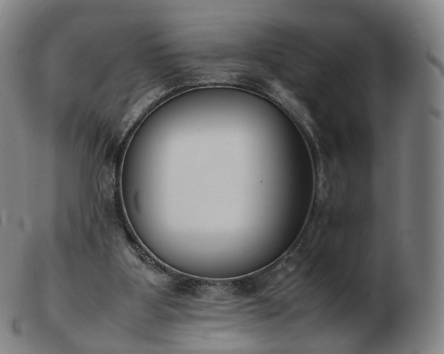 X0000103450107200809191757