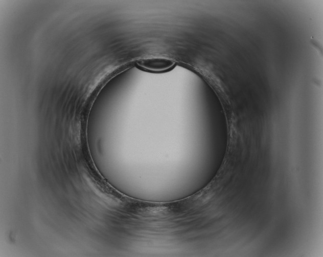 X0000103450108200809191757