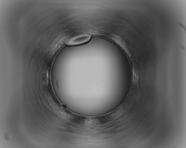 X0000103450109200809191757