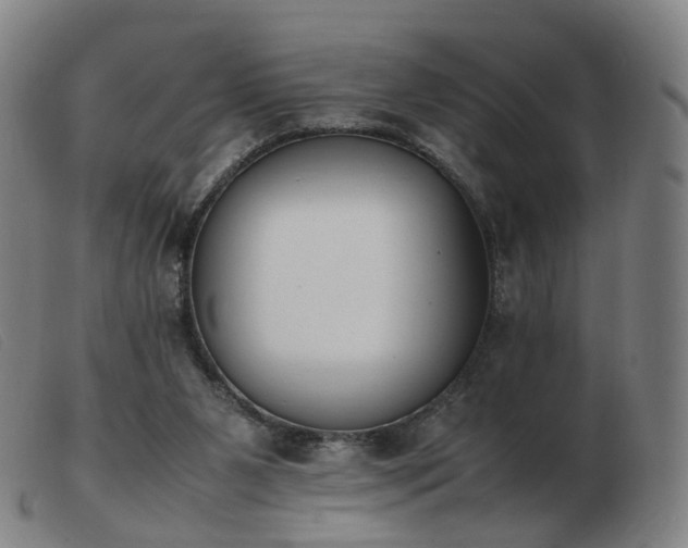 X0000103450111200809191757