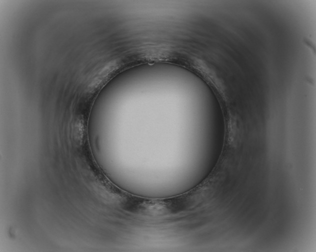 X0000103450113200809191757