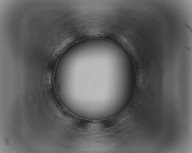 X0000103450115200809191757