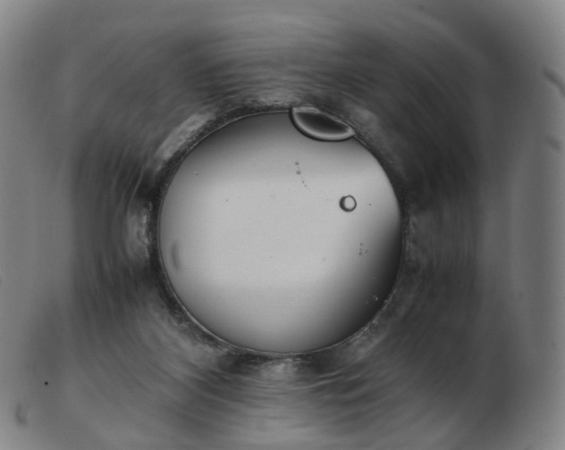 X0000103450116200809191757