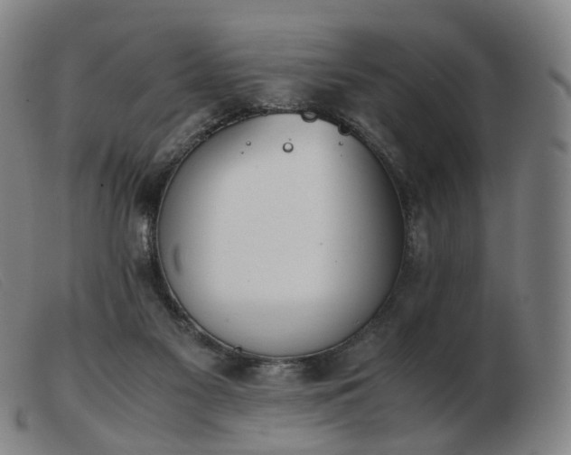 X0000103450117200809191757