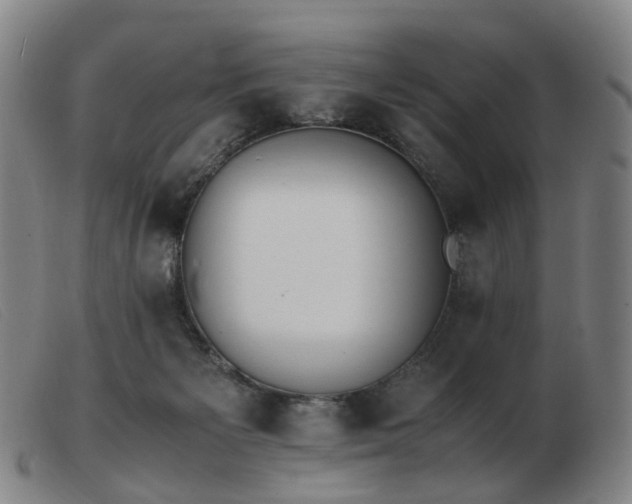 X0000103450125200809191757