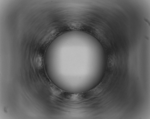 X0000103450130200809191757