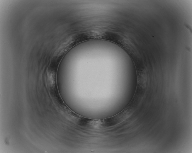 X0000103450131200809191757