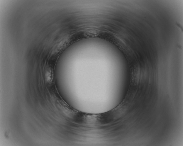 X0000103450134200809191757