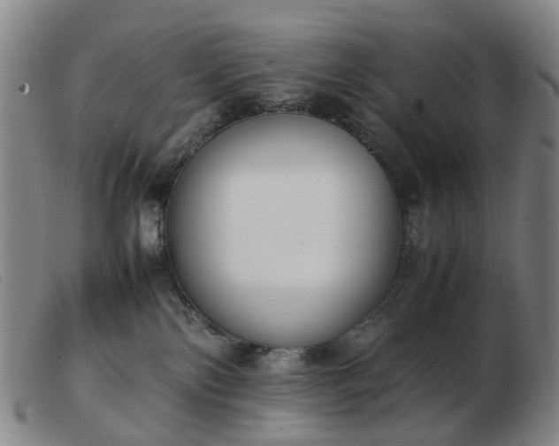 X0000103450138200809191757