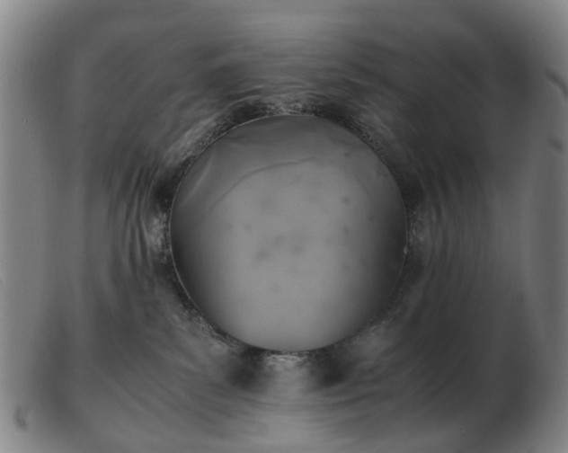 X0000103450139200809191757