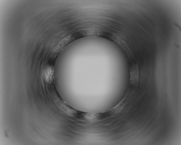 X0000103450142200809191757