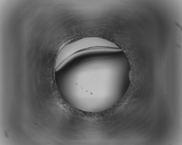 X0000103450144200809191757