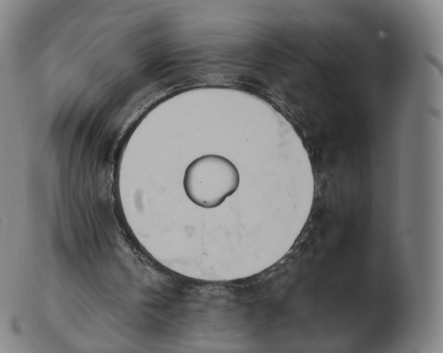 X0000103450146200809191756