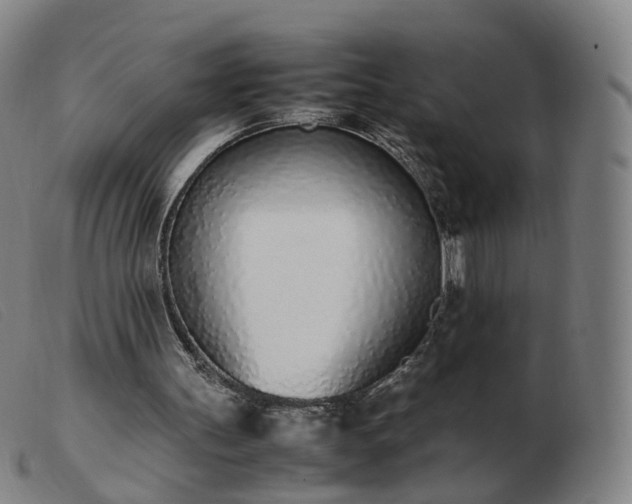 X0000103450147200809191756