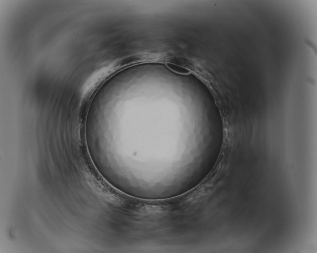 X0000103450149200809191756