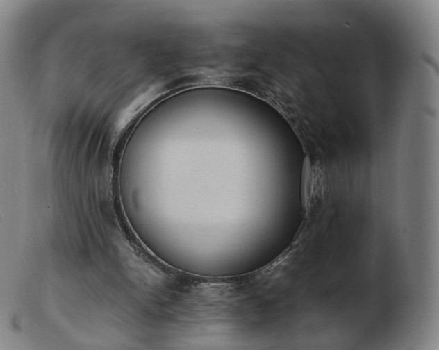 X0000103450150200809191756
