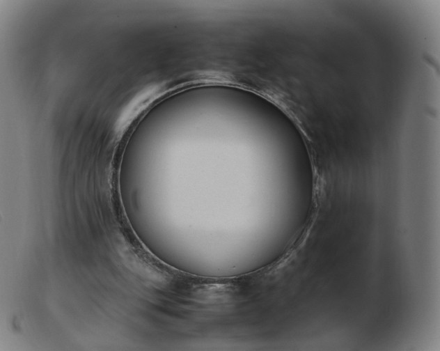 X0000103450151200809191756