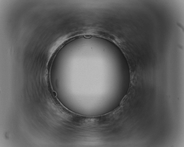 X0000103450152200809191756