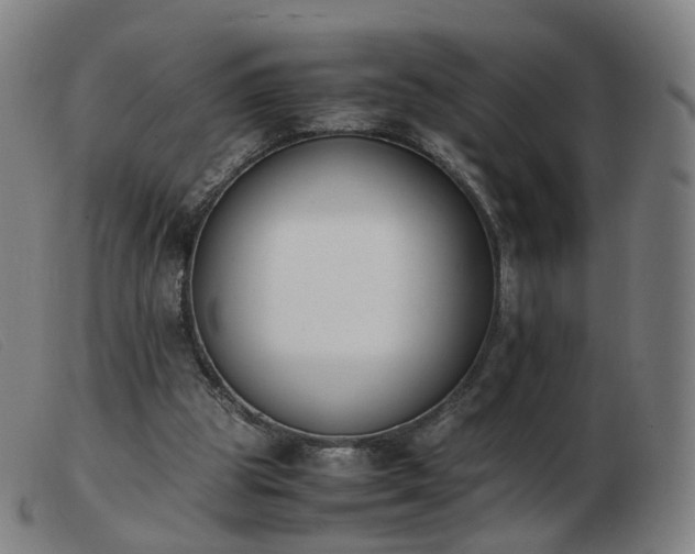 X0000103450153200809191756