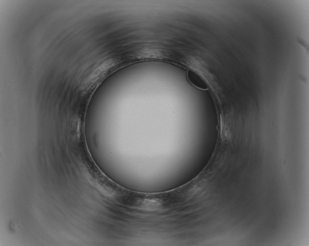 X0000103450157200809191756