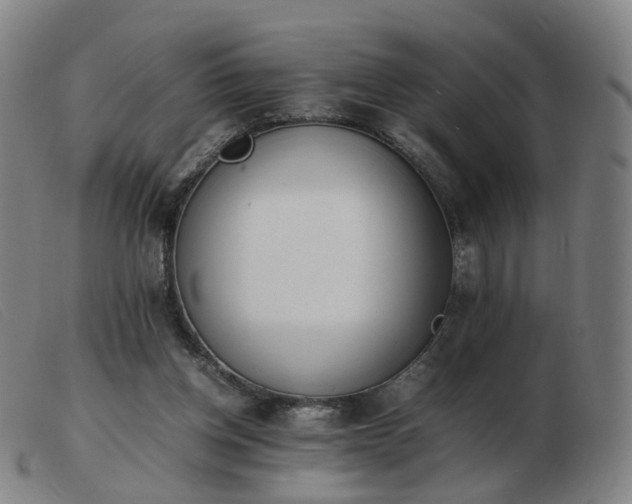 X0000103450158200809191756