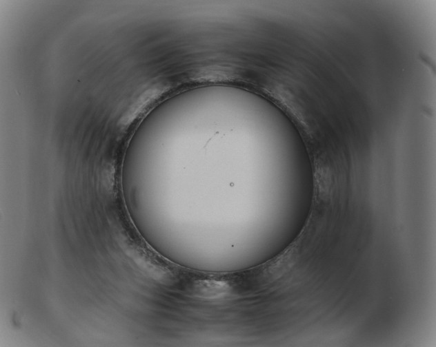 X0000103450159200809191756
