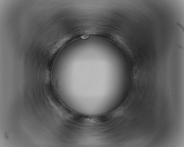 X0000103450164200809191756