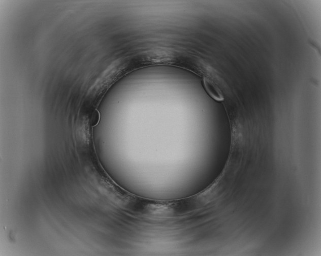 X0000103450170200809191757