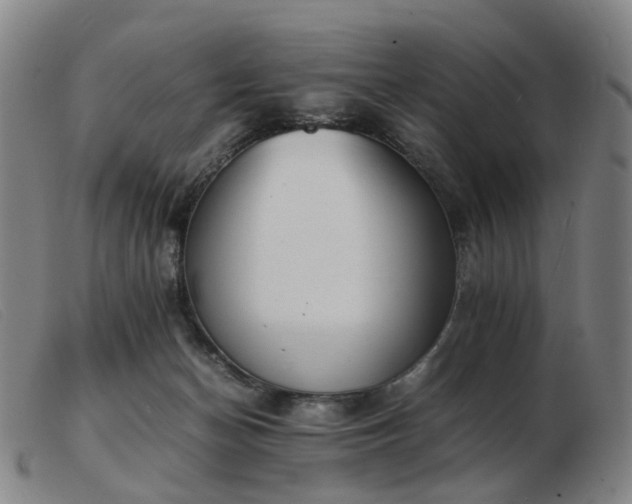 X0000103450174200809191757