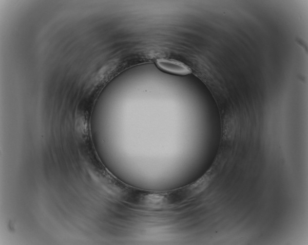 X0000103450176200809191757