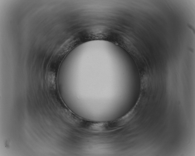 X0000103450178200809191757