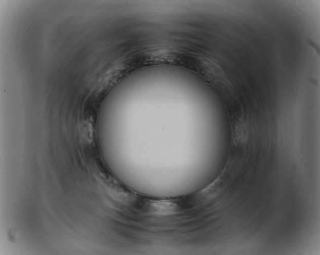 X0000103450183200809191757