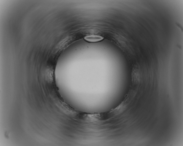 X0000103450188200809191757