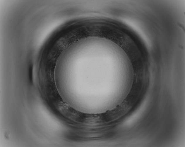 X0000103450189200809191757