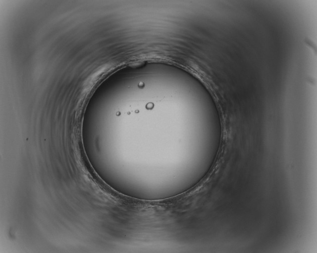 X0000103450193200809191756