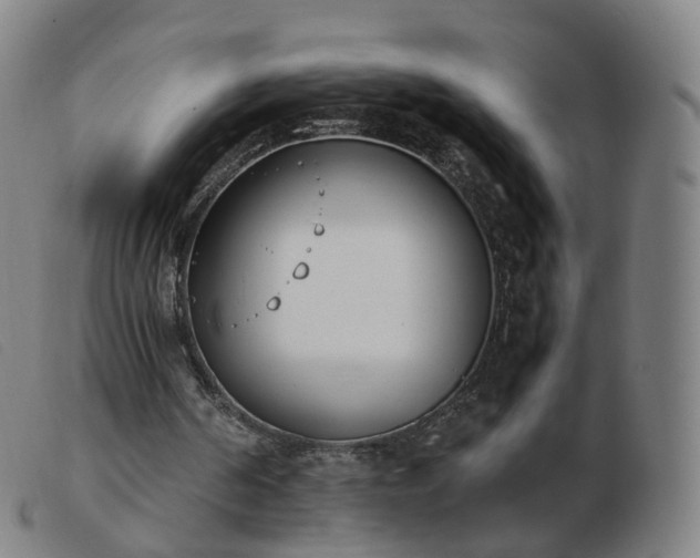 X0000103450194200809191756