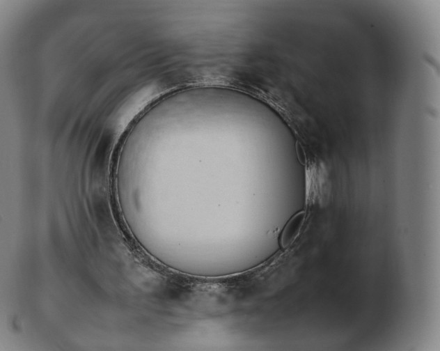 X0000103450195200809191756