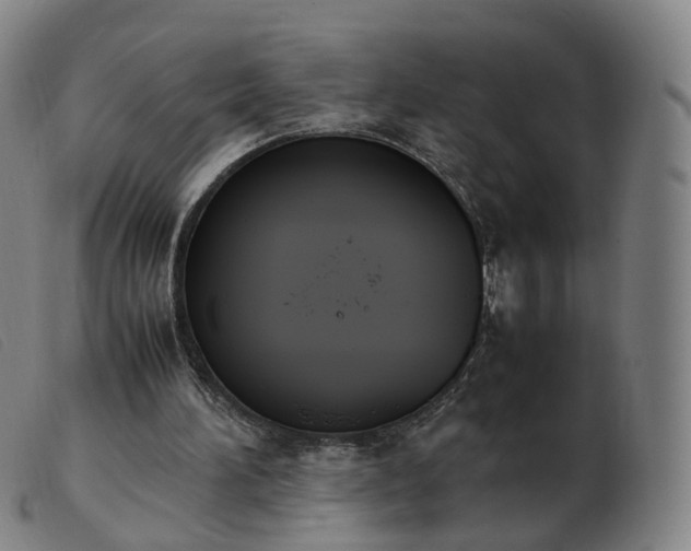 X0000103450196200809191756