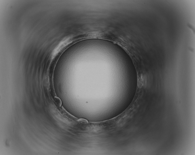 X0000103450198200809191756