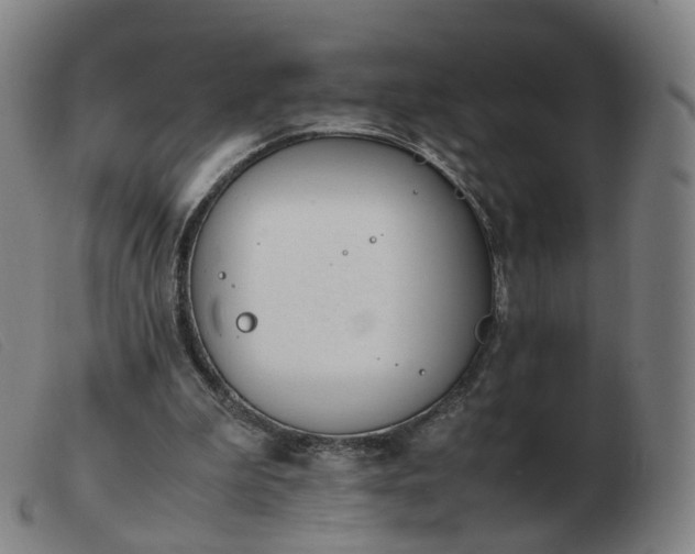 X0000103450199200809191756