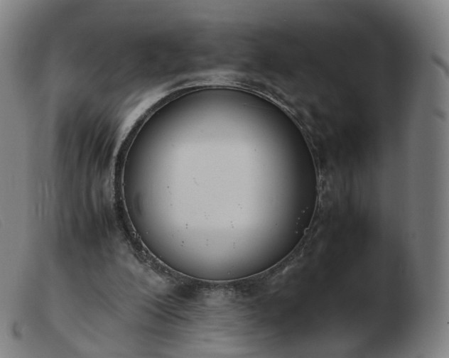 X0000103450200200809191756