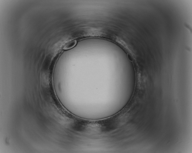 X0000103450203200809191756