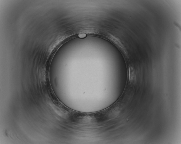 X0000103450204200809191756
