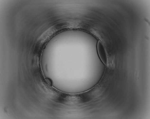 X0000103450205200809191756