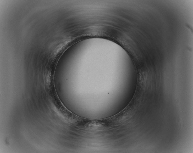 X0000103450208200809191756