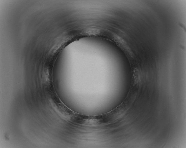 X0000103450212200809191756