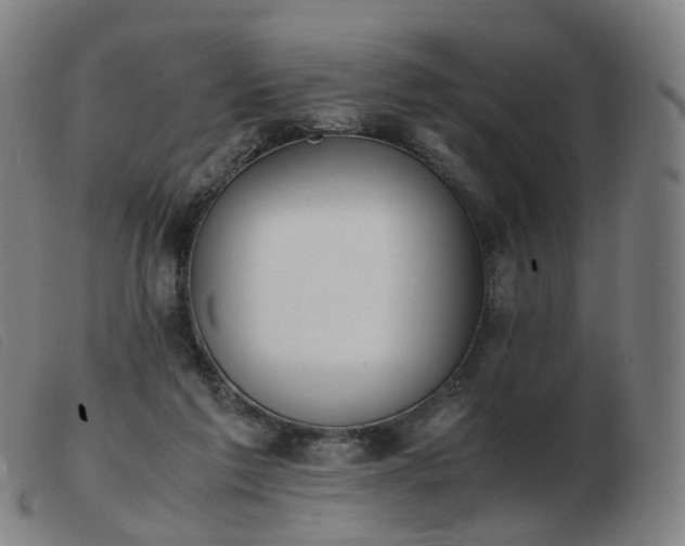 X0000103450213200809191756